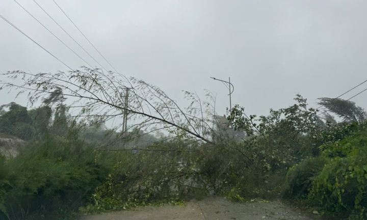 Bão Yagi sắp đổ bộ: Quảng Ninh mưa to gió giật, cảnh báo thiên tai cấp 4