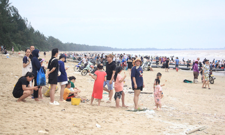 Dân ra biển chờ nhặt cá trôi dạt, lãnh đạo phường đề nghị giao lồng cá cho chủ bè