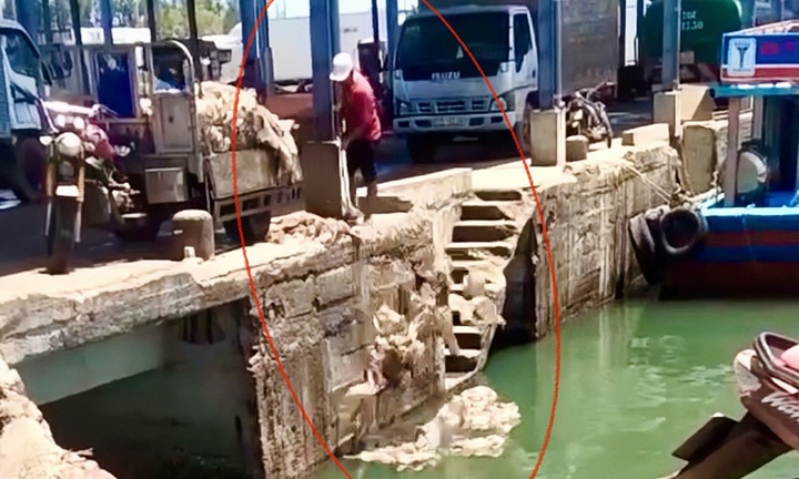 Cộng đồng mạng bức xúc trước clip người đàn ông ở Bình Định đổ rác xuống biển