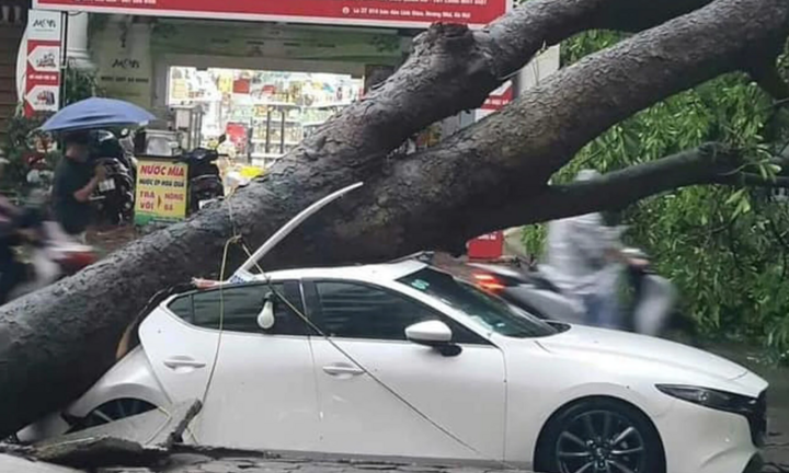 Doanh nghiệp bảo hiểm bồi thường thiệt hại do bão Yagi trước 12/9