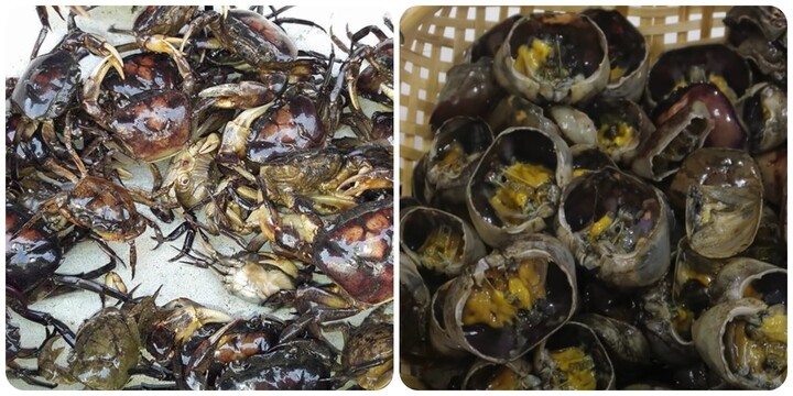 Một số bài thuốc có cua đồng