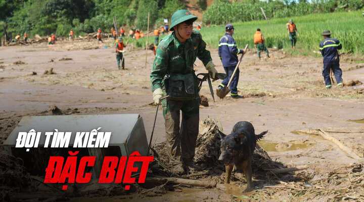 Đội tìm kiếm đặc biệt tại hiện trường vụ sạt lở kinh hoàng ở Lào Cai