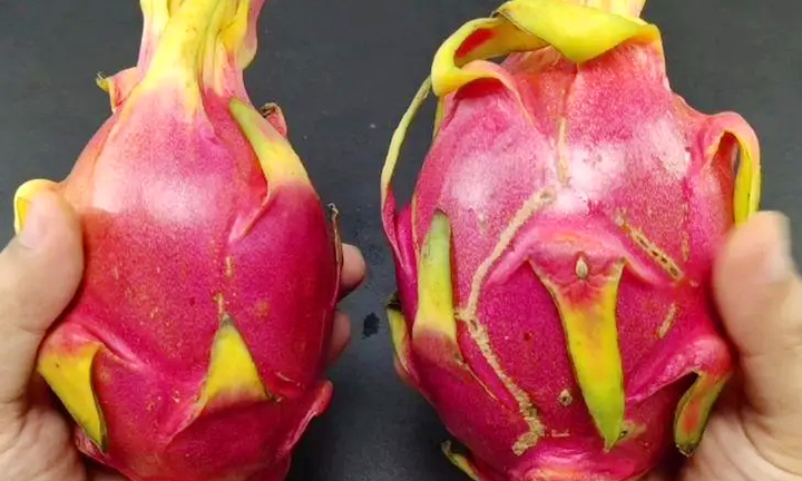 Mua thanh long nên chọn quả tròn hay quả dài?