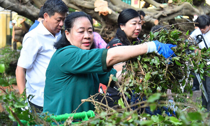 Bí thư Hà Nội cùng người dân dọn cây đổ, vệ sinh môi trường sau bão Yagi