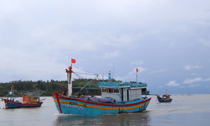 Cấm vận tải hành khách ra đảo Lý Sơn và đảo Cù Lao Chàm