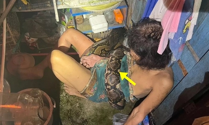 Bị trăn khổng lồ siết chặt, bà lão vật lộn suốt 2 tiếng đồng hồ và thoát chết