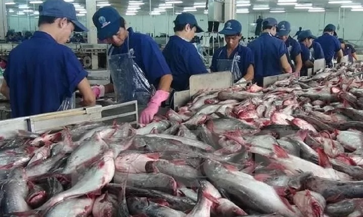 Kết luận rà soát thuế chống bán phá giá cá tra Việt Nam xuất khẩu sang Hoa Kỳ