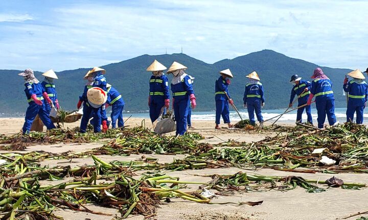Hàng chục tấn rác bủa vây bãi biển Đà Nẵng sau bão số 4