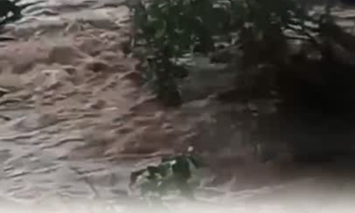 Nước lũ từ khe suối cuồn cuộn đổ về sông Ngàn Phố (huyện Hương Sơn, Hà Tĩnh)