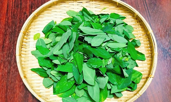 Rau ngót bổ nhưng đại kỵ với những người này