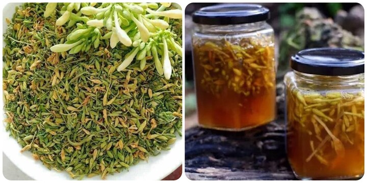 Có nên uống hoa đu đủ đực hàng ngày?