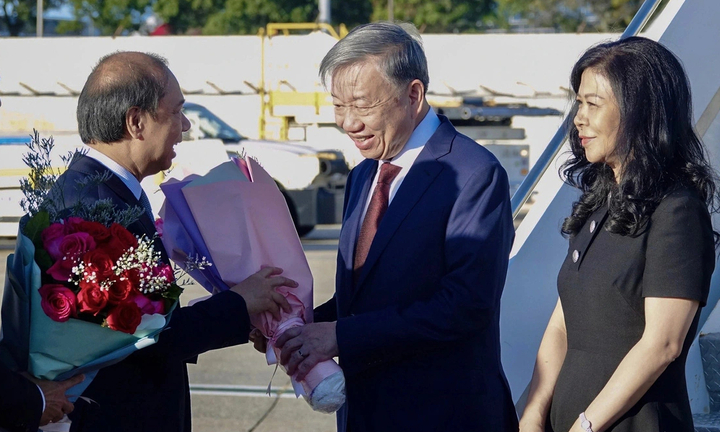 Tổng Bí thư, Chủ tịch nước Tô Lâm tham dự khóa họp 79 Đại hội đồng Liên Hợp Quốc