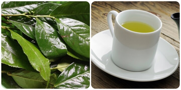 Điều gì sẽ xảy ra nếu bạn uống nước chè xanh mỗi ngày?