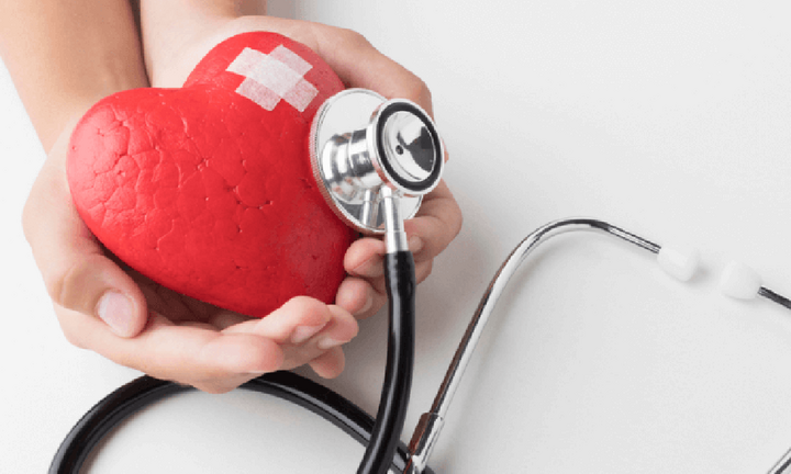 Trái tim có mấy ngăn?