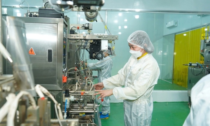 IQ Food: Nỗ lực sản xuất nông sản xanh, sạch 