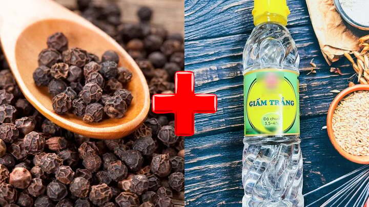 Ngâm hạt tiêu với giấm trắng có công dụng gì? 