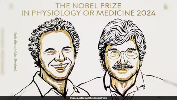 Hai nhà khoa học khám phá ra microRNA đạt giải Nobel Y Sinh năm 2024
