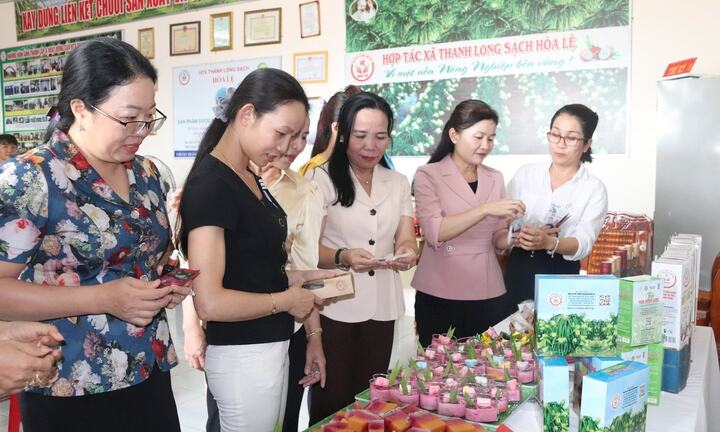 HTX Thanh long sạch Hoà Lệ: Làm giàu từ trái thanh long