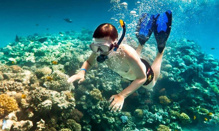 Kinh nghiệm lặn ngắm san hô ở bán đảo Sơn Trà