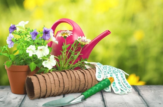 4 bí quyết khiến hoa nở rực rỡ mà nhà vườn luôn muốn giấu kín