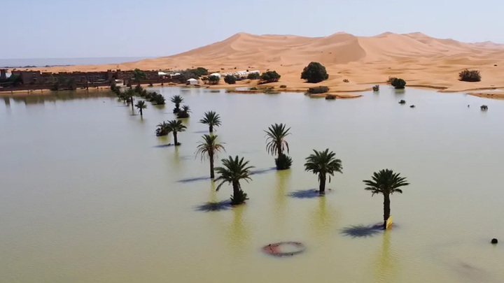 Kỳ lạ sa mạc Sahara ngập lụt vì trận mưa thế kỷ, hồ cạn khô 50 năm bỗng đầy nước