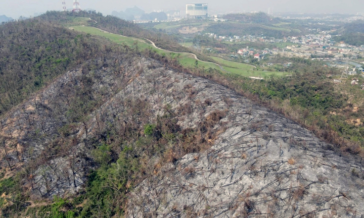 Quảng Ninh: Nhiệm vụ phòng cháy chữa cháy rừng cấp bách như phòng chống bão