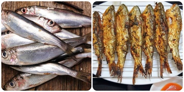 Loại cá nào giàu canxi nhất?