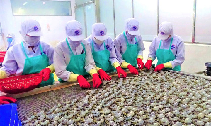 Cà Mau đẩy mạnh chuyển đổi số và phát triển công nghiệp xanh