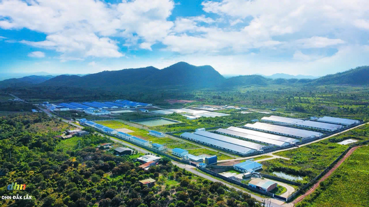 Chuỗi dự án nông nghiệp sắp mang về 2 tỷ USD mỗi năm của DHN