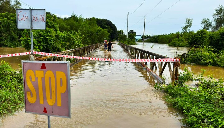 Bình Thuận: Mưa lớn kéo dài, hàng trăm hecta hoa màu chìm trong biển nước