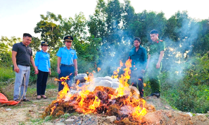 Thanh Hóa tiêu hủy hơn nửa tấn măng khô không rõ nguồn gốc 