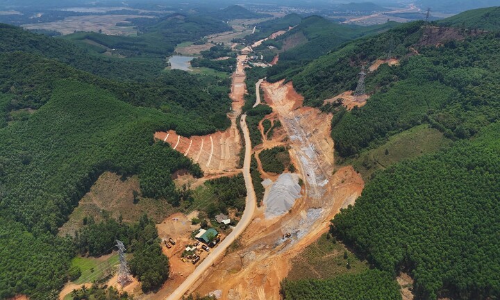 Bình Định chuyển đổi hơn 11 ha rừng tự nhiên phục vụ dự án cao tốc Bắc Nam