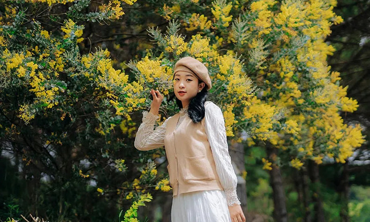 Truyền thuyết loài hoa trinh nữ vàng ở Đà Lạt