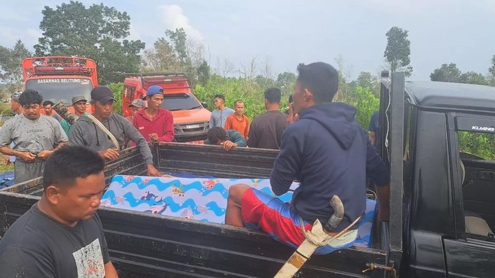 Rửa chân dưới sông, thanh niên bị cá sấu lôi đi ngay trước mắt bố vợ