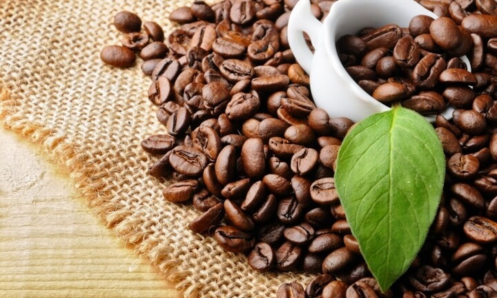 Giá cà phê hôm nay 25/10: Tiếp tục giảm mạnh
