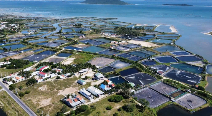 Khánh Hòa đề xuất có thêm sân bay quốc tế Vân Phong