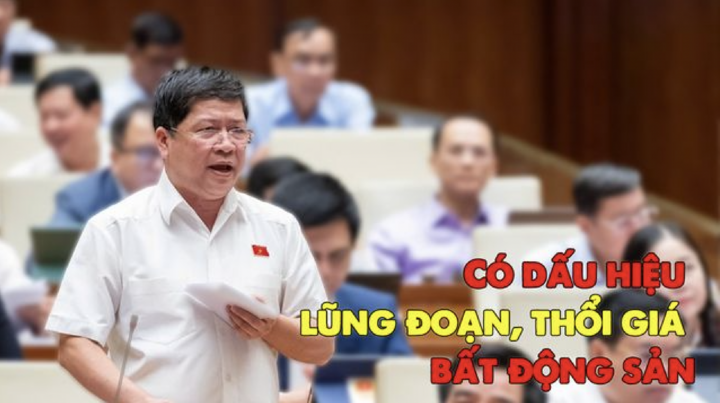 ĐBQH: Có dấu hiệu lũng đoạn, thao túng, thổi giá bất động sản