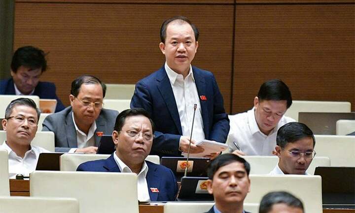 'Đừng nhìn vài bộ phim của Trấn Thành, Lý Hải mà tưởng điện ảnh Việt tươi sáng'