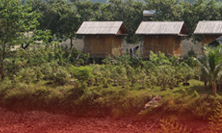 Ngôi làng kỳ lạ: Đàn ông lấy nhiều vợ, phụ nữ lấy nhiều chồng ở Bình Thuận