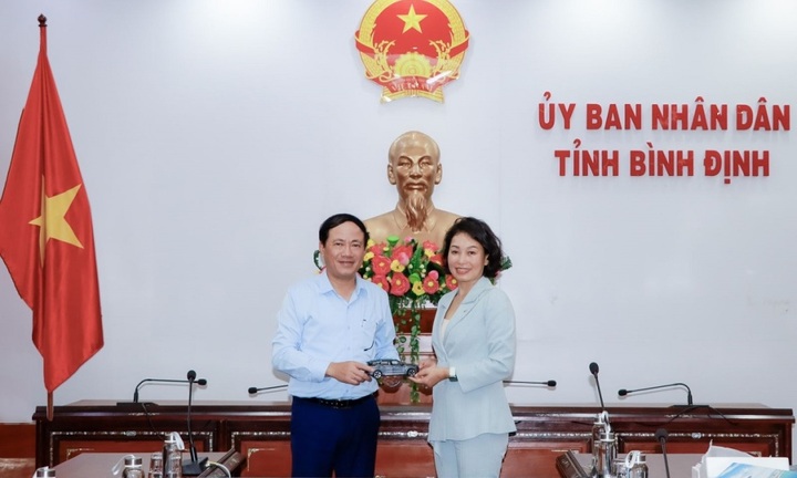 Lãnh đạo tỉnh Bình Định nói gì về mong muốn lắp trạm sạc xe điện của Vingroup?