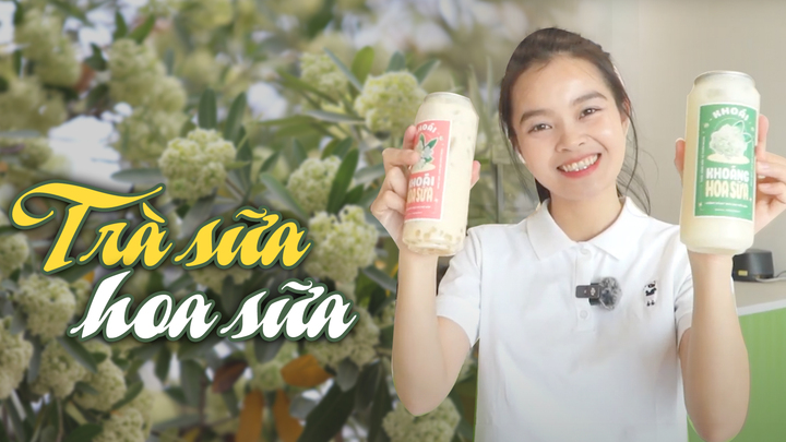 Có gì trong trà sữa hoa sữa gây xôn xao cõi mạng?