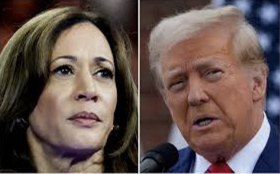 Trực tiếp bầu cử Tổng thống Mỹ: Ông Trump kết thúc vận động tranh cử cuối cùng