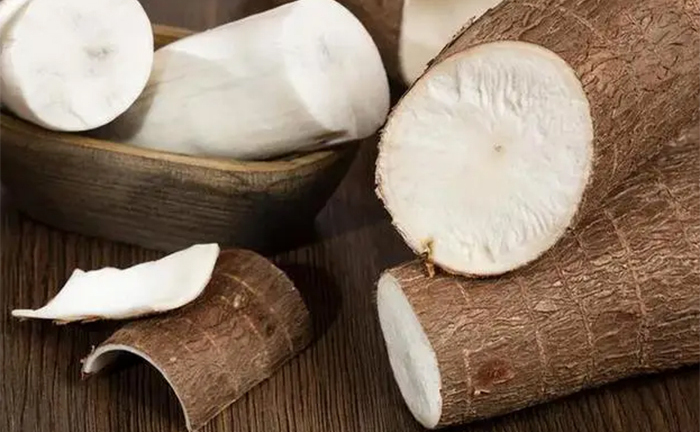 Vì sao chúng ta luôn phải gọt bỏ vỏ sắn trước khi nấu?