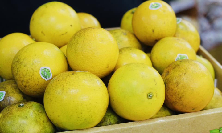 Cách chọn cam xoàn chuẩn, ngon 