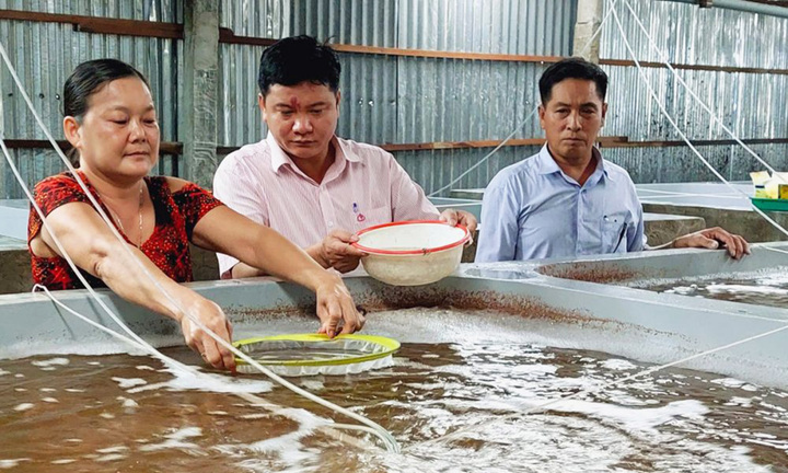 Cà Mau giảm nghèo bền vững, nâng cao chất lượng cuộc sống