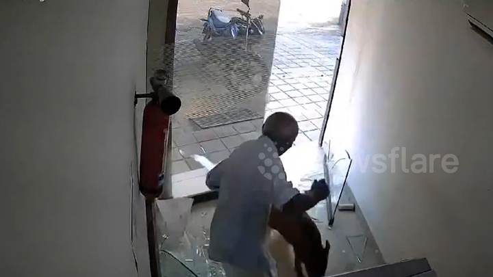 Lợn rừng điên cuồng húc vỡ cửa kính cây ATM ở Ấn Độ khiến cụ ông bị thương 