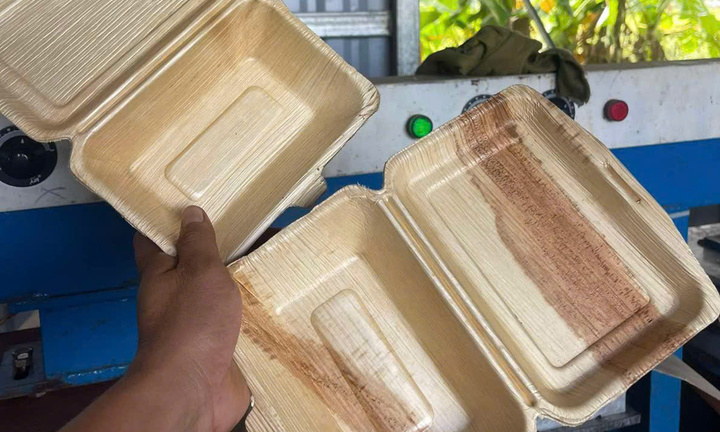 'Mục sở thị' quy trình biến mo cau thành hộp xốp đựng đồ ăn 