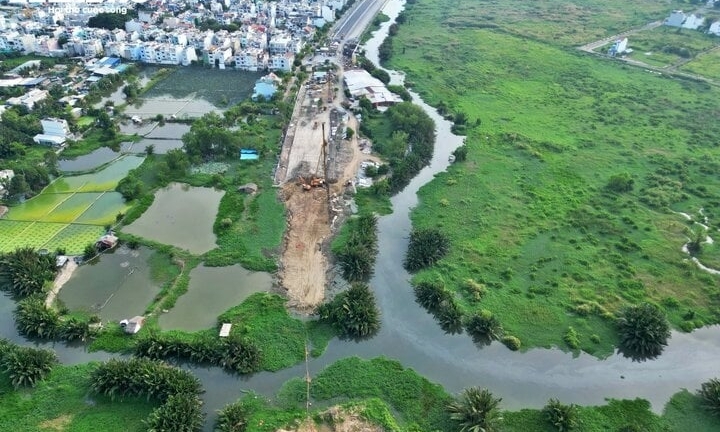 Đất 50 năm là gì? 