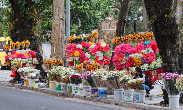 Sát ngày 20/11, hoa tươi tăng giá mạnh 