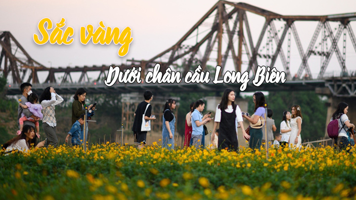 Từ bãi rác thành bến hoa tuyệt đẹp dưới chân cầu Long Biên 